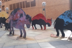 Buffalo